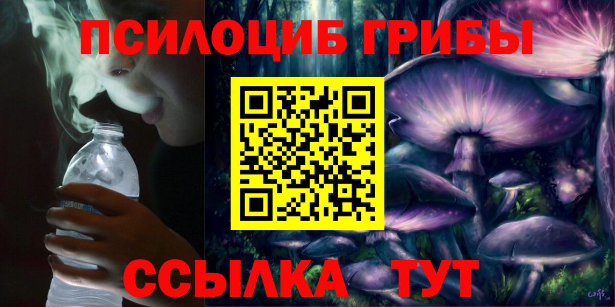Псилоцибиновые грибы Cubensis Рубцовск