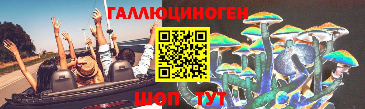 Галлюциногенные грибы GOLDEN TEACHER  Вход с VPN  Рубцовск 